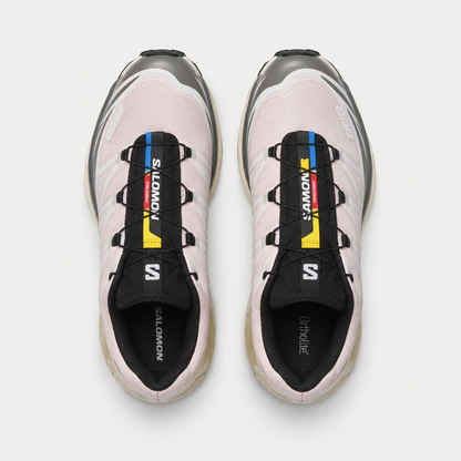 Salomon XT-6